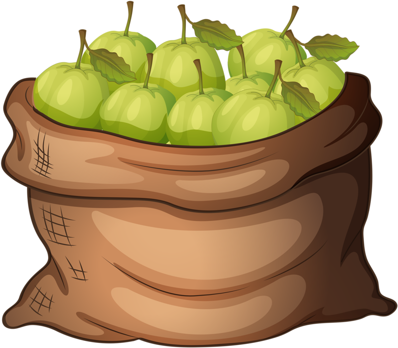 Apples - Clip Art Apples In A Bag (800x711)
