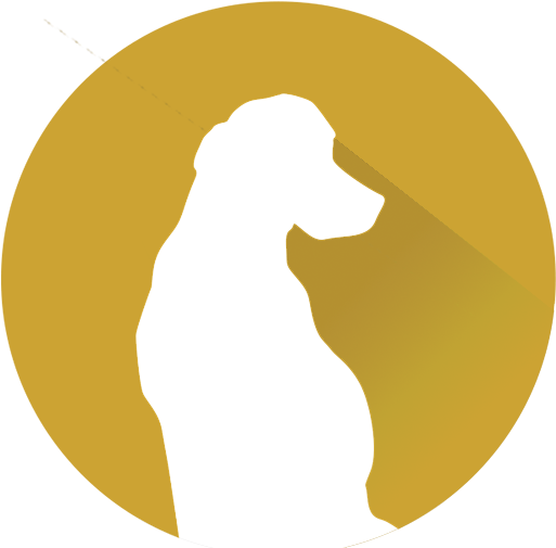 Denver Broncos Logo Many Interesting Cliparts - Illustration (512x512)