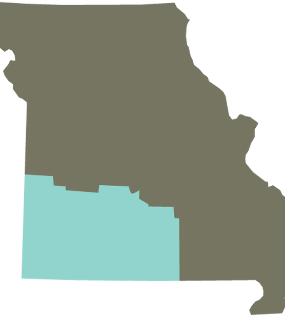 County Resource Guide - Topo Map Of Missouri (556x614)