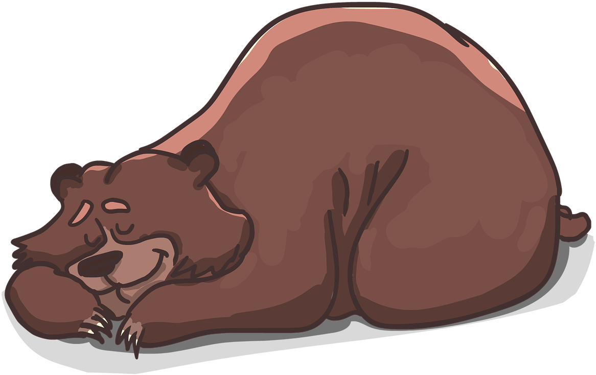 Bear Sleeping - Bär Schläft Clipart (1280x792)