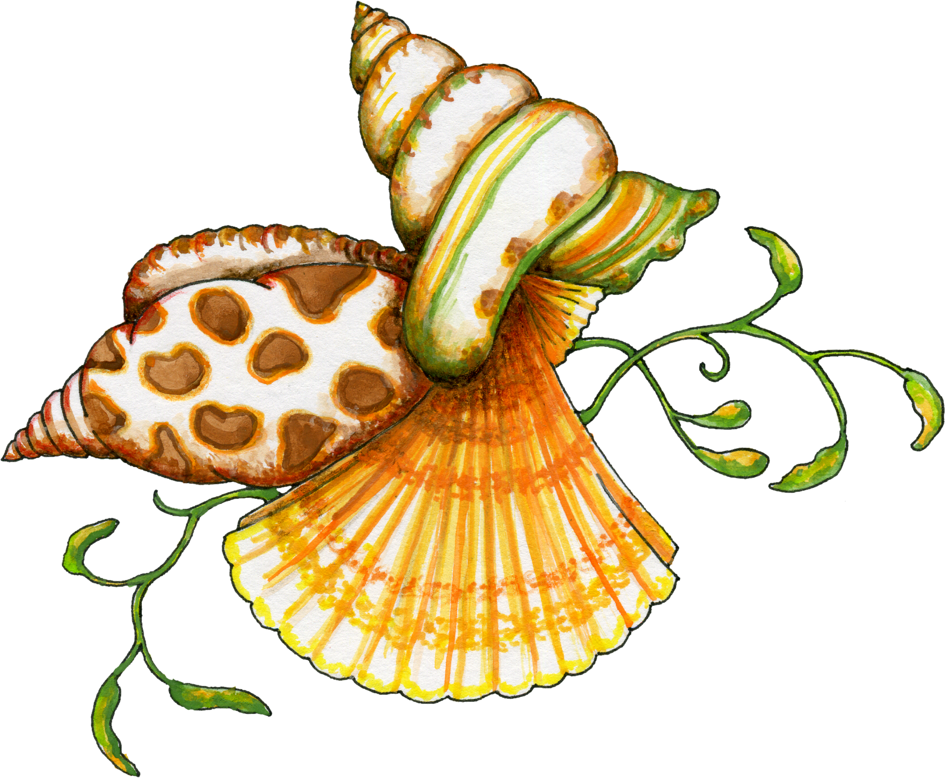 Flamingo Clipart Sea Shell - Seashell Clip Art Free (1873x1541)