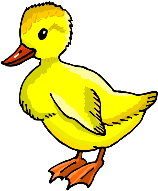 Duckling - Little Ducks Clip Art (618x750)
