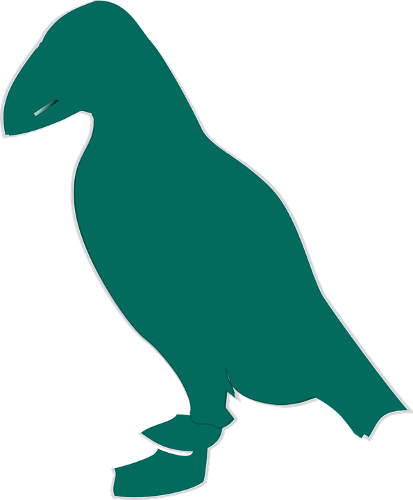 Atlantic Puffin (595x720)