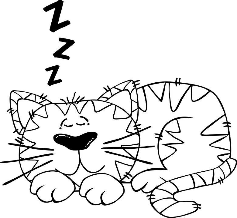 Free Vector Graphic - Sleeping Cartoon Black And White (780x720)