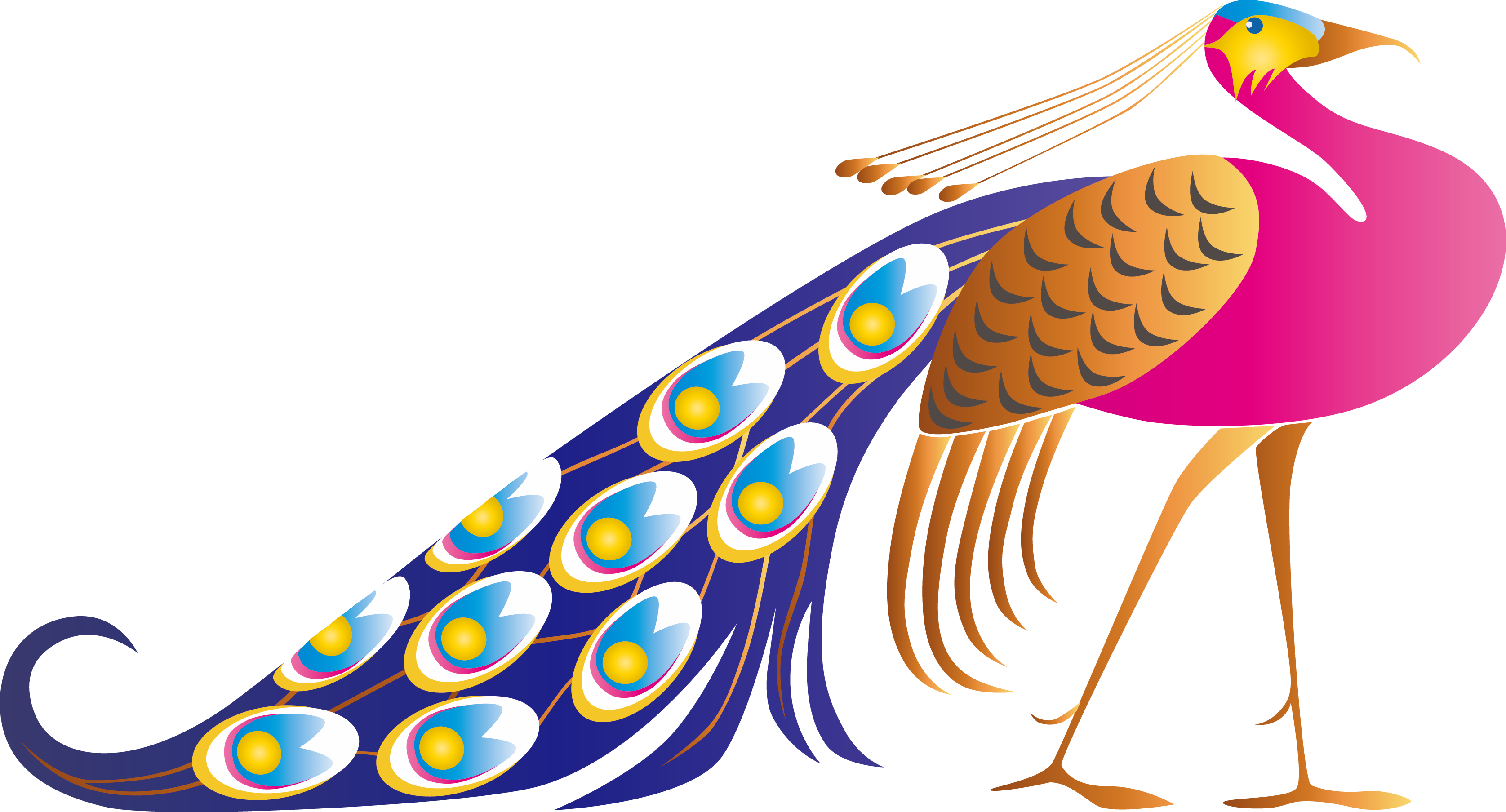 Cute Peacock Clip Art Vector Open Stock Creativemons - Peacock Vector (3351x1807)