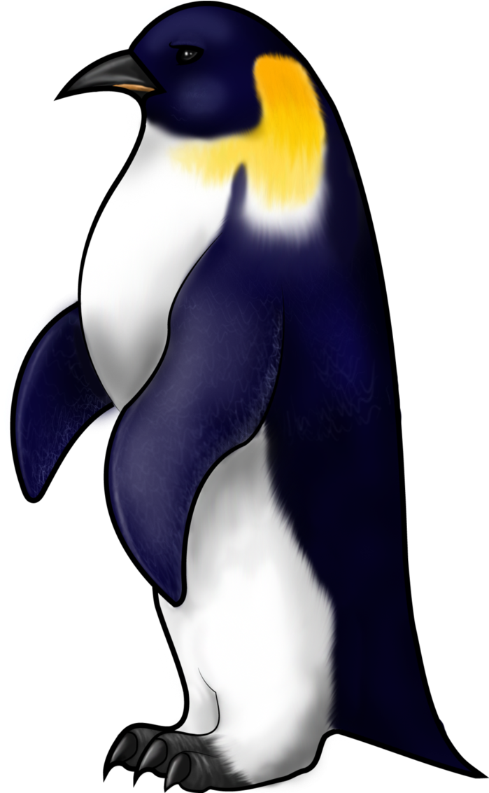 Emperor Penguin By Pickledsuicune On Deviantart - Draw An Emperor Penguin (706x1131)