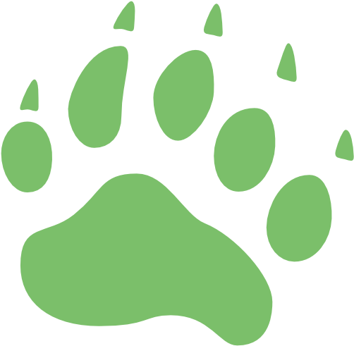 Cant Find The Perfect Clip Art - Bear Icon (512x512)