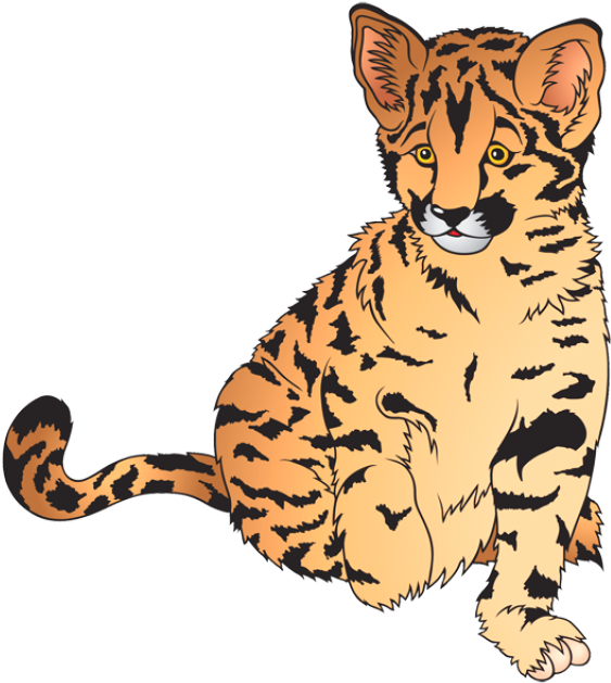 Wonderful Clip Art Of Animals That Live In A Zoo - Zoo Animals Clip Art (640x640)