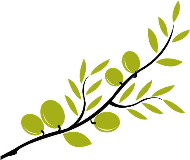 Olive Branch Clip Art (639x548)