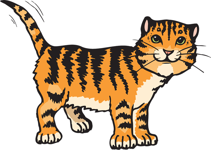 Tiger Cat Clipart - Cat Clipart (800x570)