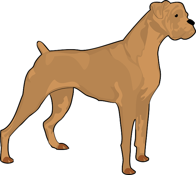 Boxer Dog Silhouette Clip Art Car Pictures - Boxer Dog Clipart Logo (640x573)