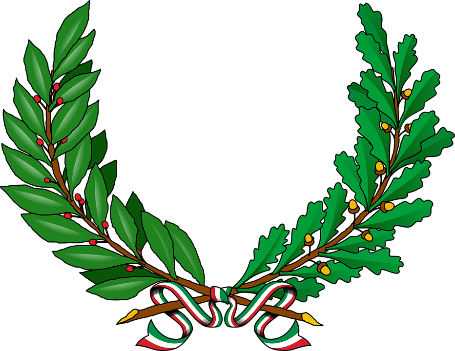 Ornamenti Da Comune - Vine Coat Of Arms (932x720)