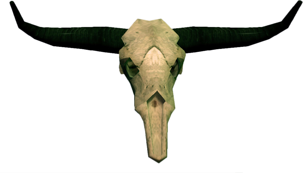 Image - Bull Skull Head Png (1032x590)