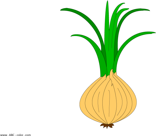 Download Bitmap Clipart Onion - Onion (822x567)