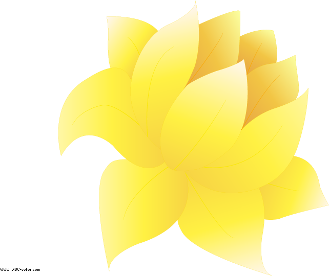 Sacred Lotus (822x567)
