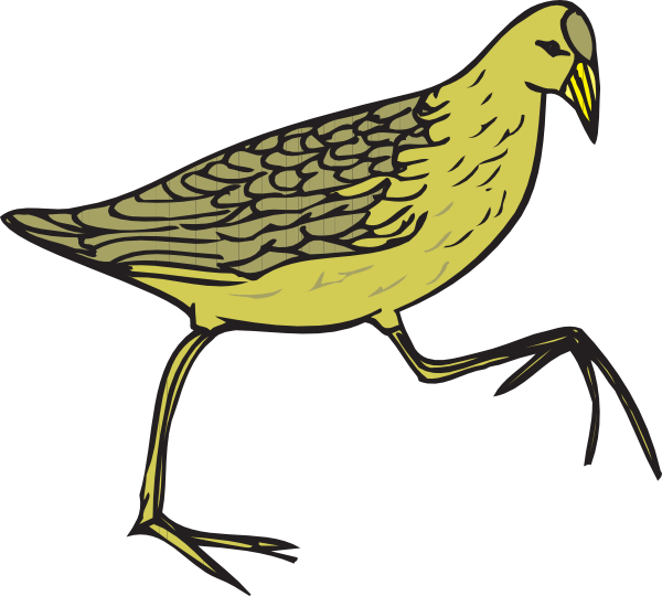 Quail Clipart Animated - Cartoon Feathers On Bird (600x540)