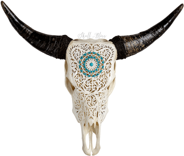 Carved Cow Skull // Xl Horns - Decorated Skulls (600x600)