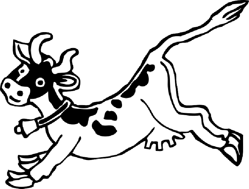 White Cow, Milk, Farm, Animal, Olxen, Black, Outline, - Jumping Cow Clip Art (800x606)