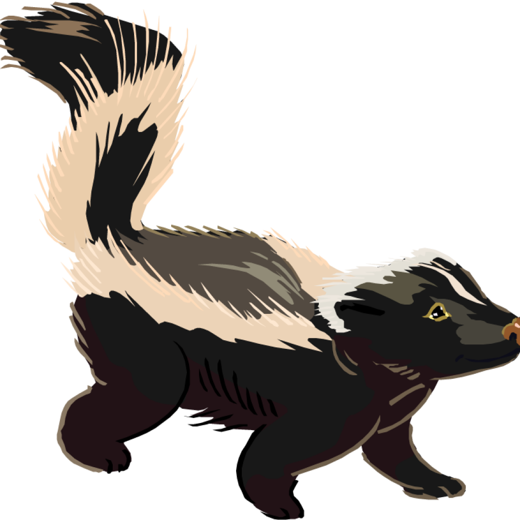 Skunk Clipart Skunk Clipart Clipart Panda Free Clipart - Clipart Images Of A Skunk (1024x1024)