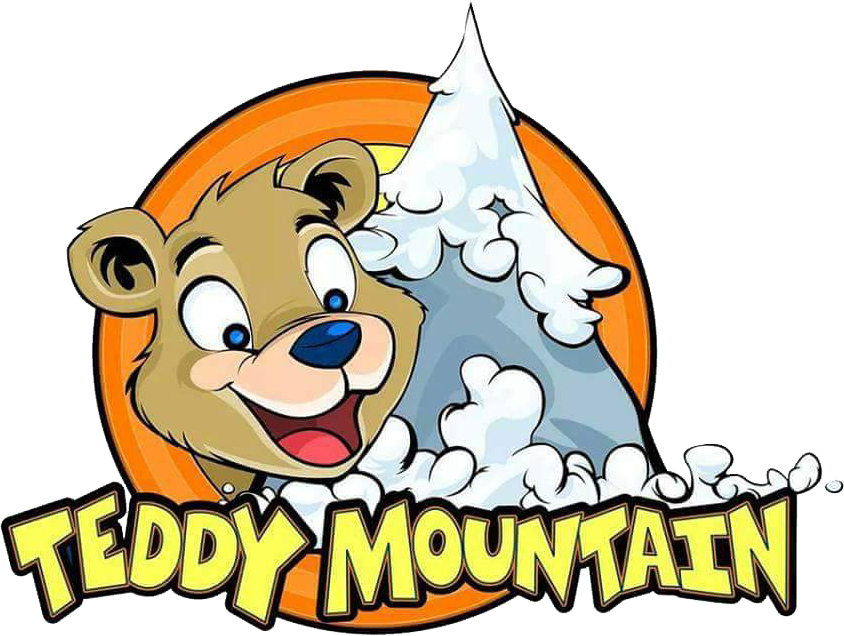 Build A Bear Parties - Teddy Mountain (844x636)