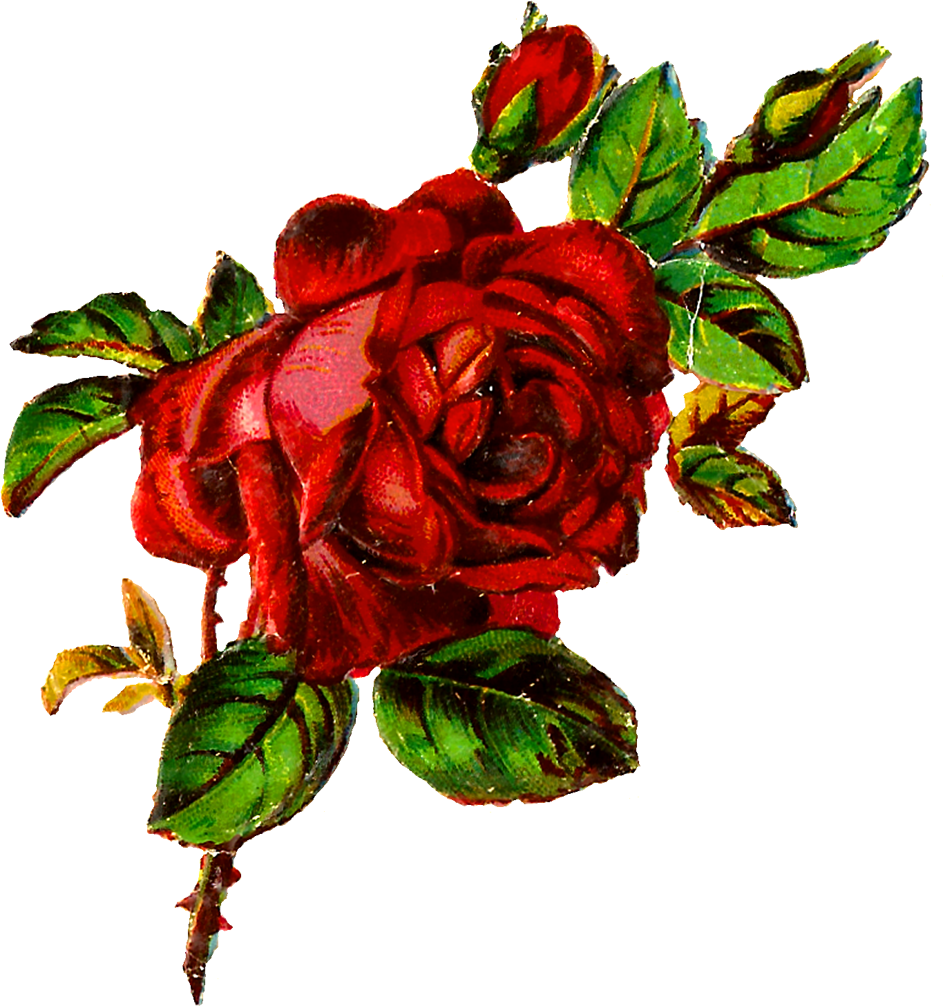 Flower Rose Shabby Chic Clipart Image Transfer Botanical - Grunge Roses Art (1500x1590)