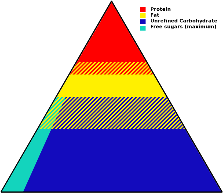 A "simplified" Representation Of The "food Pyramid" - Do Lipids Relate To The Food Pyramid (768x768)