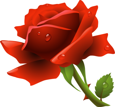 Red Rose / Png - Red Rose Png (400x373)