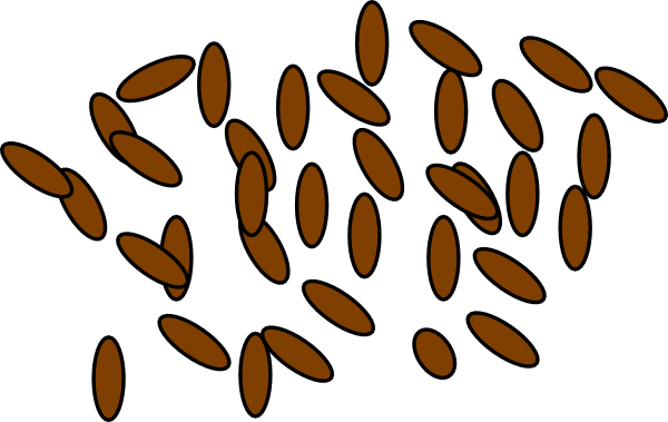 Totetude Brown Pellets Clip Art At Clker - Brown Rice Clipart Png (600x379)