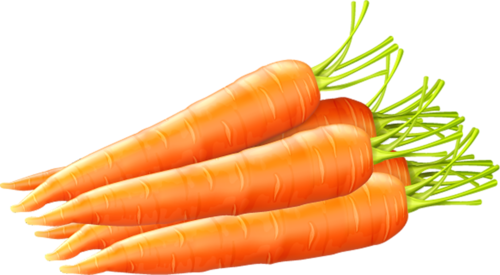 Clipart, Tube, Drinks, Food, Drink, Cocktails, Drinking, - Carrot (500x275)