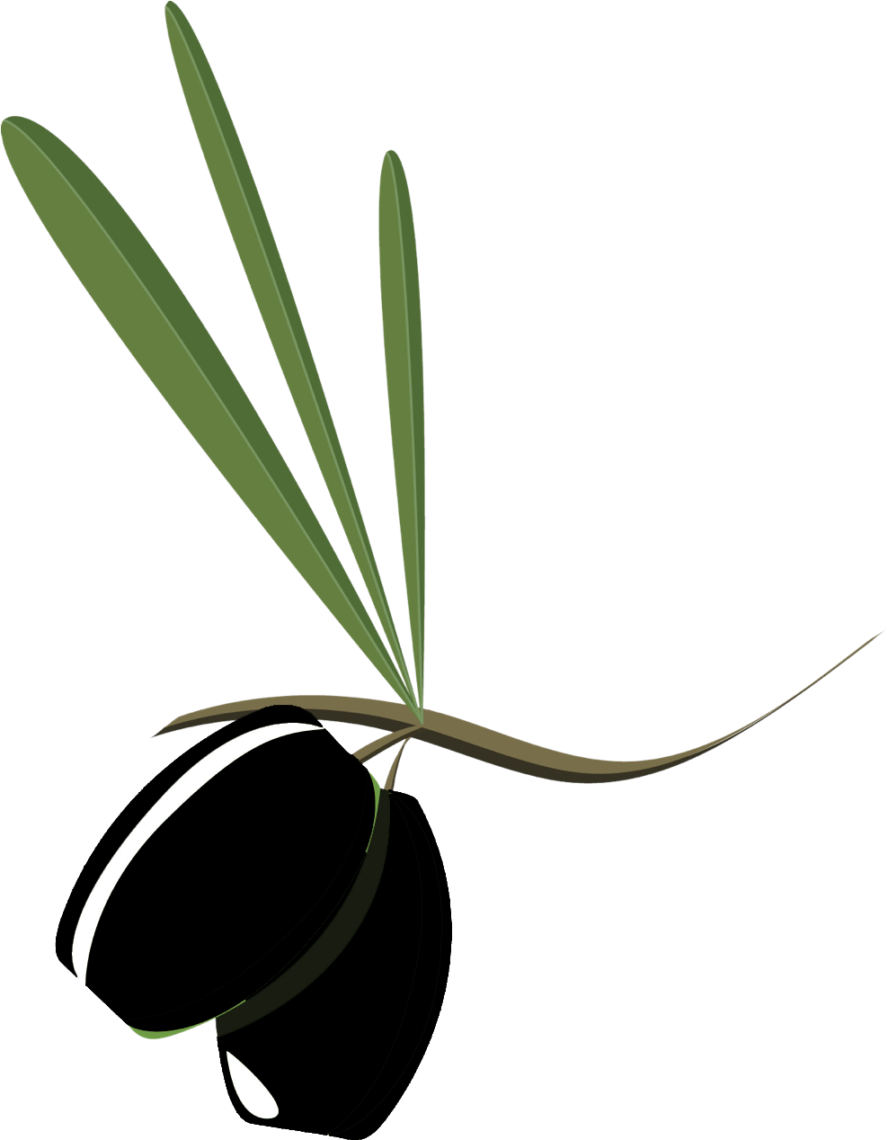 Olive Oil Clipart Massage - Olive Oil Clipart Massage (1199x1267)
