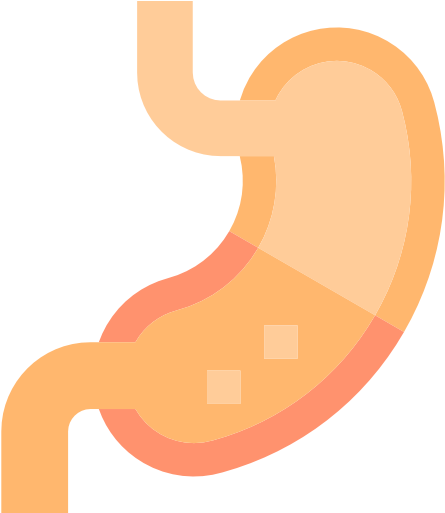 Vegetable Oil Intolerance - Stomach Png (512x512)