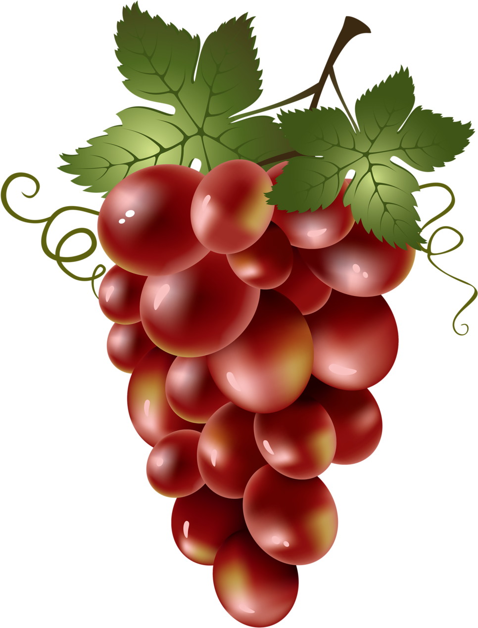 Яндекс - Фотки - Uvas Verdes Png (1003x1280)
