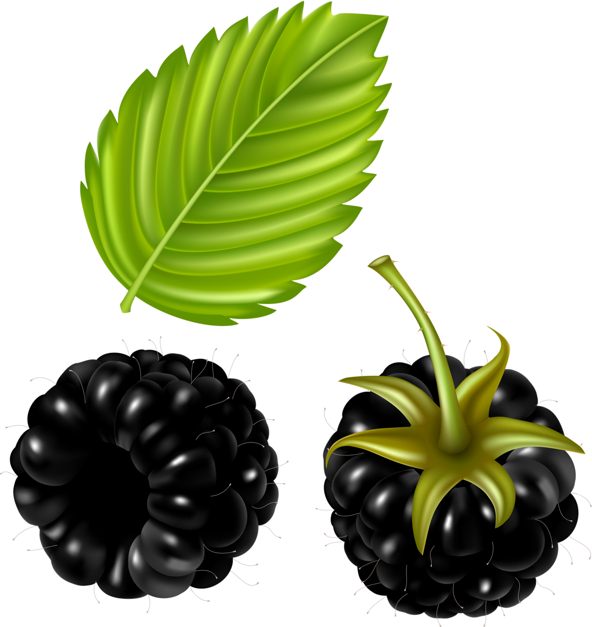 Fruit Clipartclip Art Items - Vector (1209x1280)