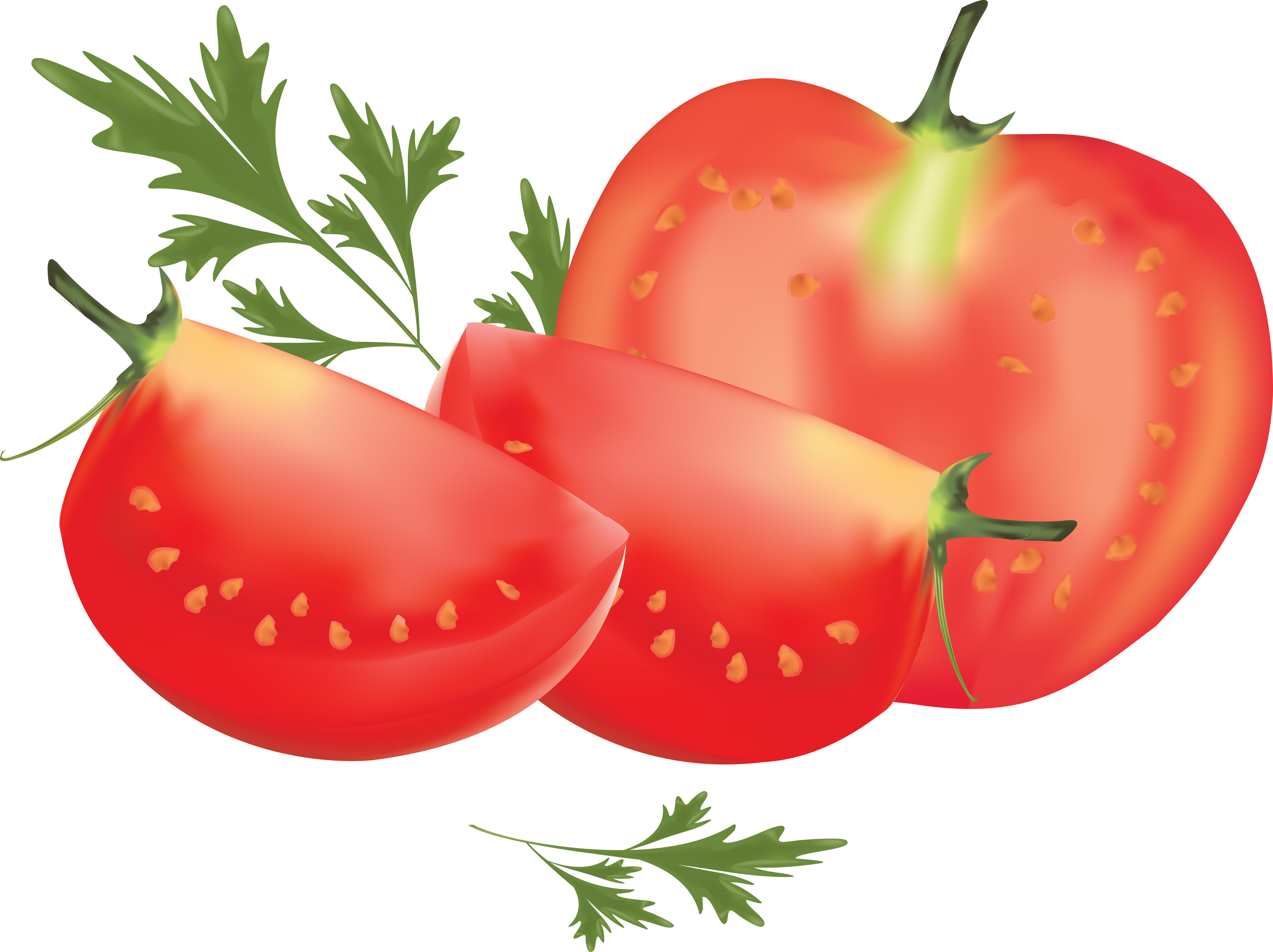 Tomate - Whats The Difference Between Veganism And Vegetarianism (3819x2856)