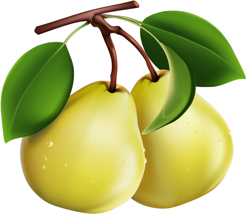 Craft - Pears Png (800x708)