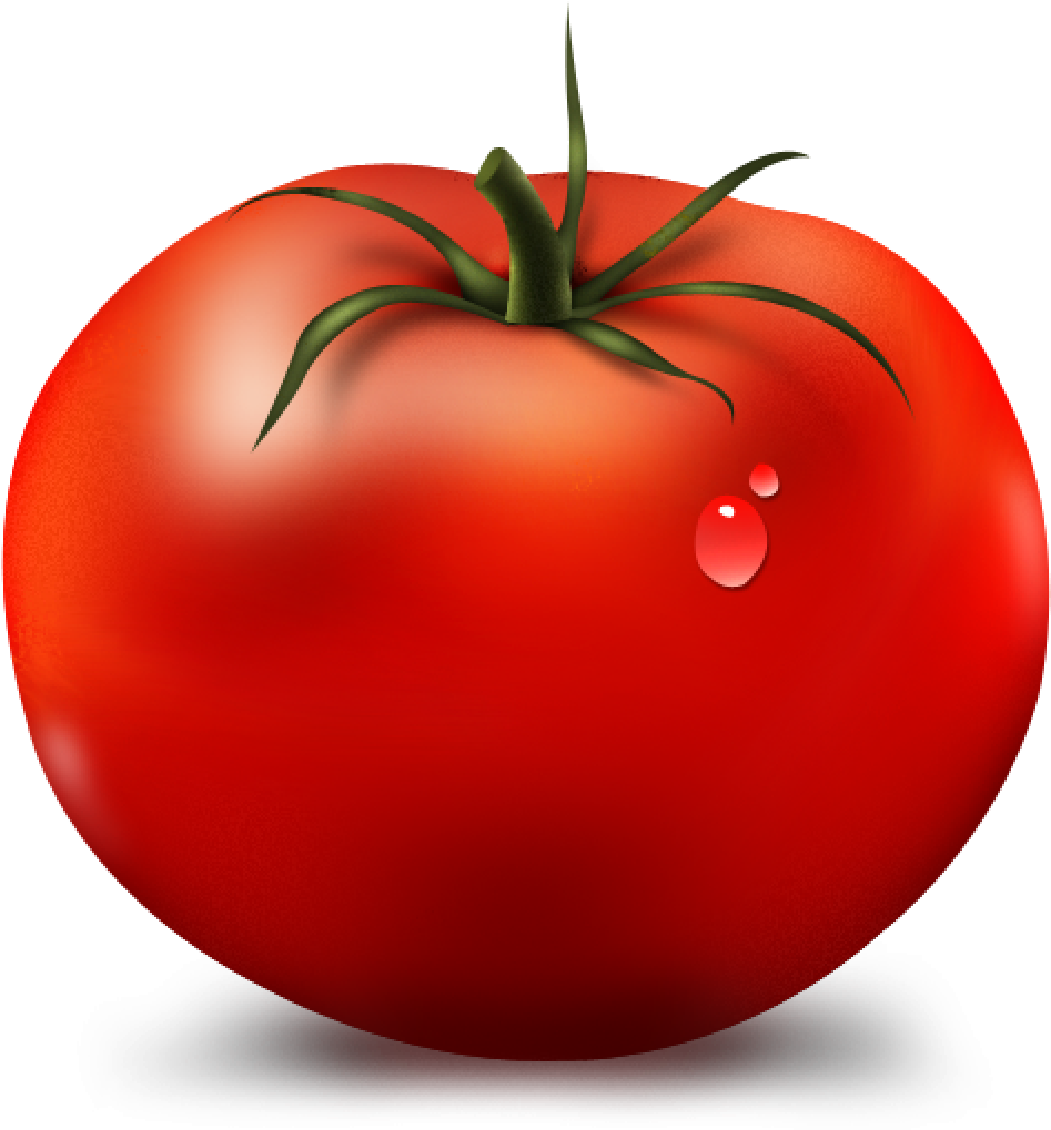 Journal - Tomato Icon (1024x1024)