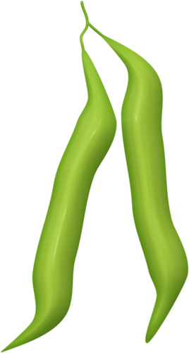 Огород - Kitchen Garden (268x500)