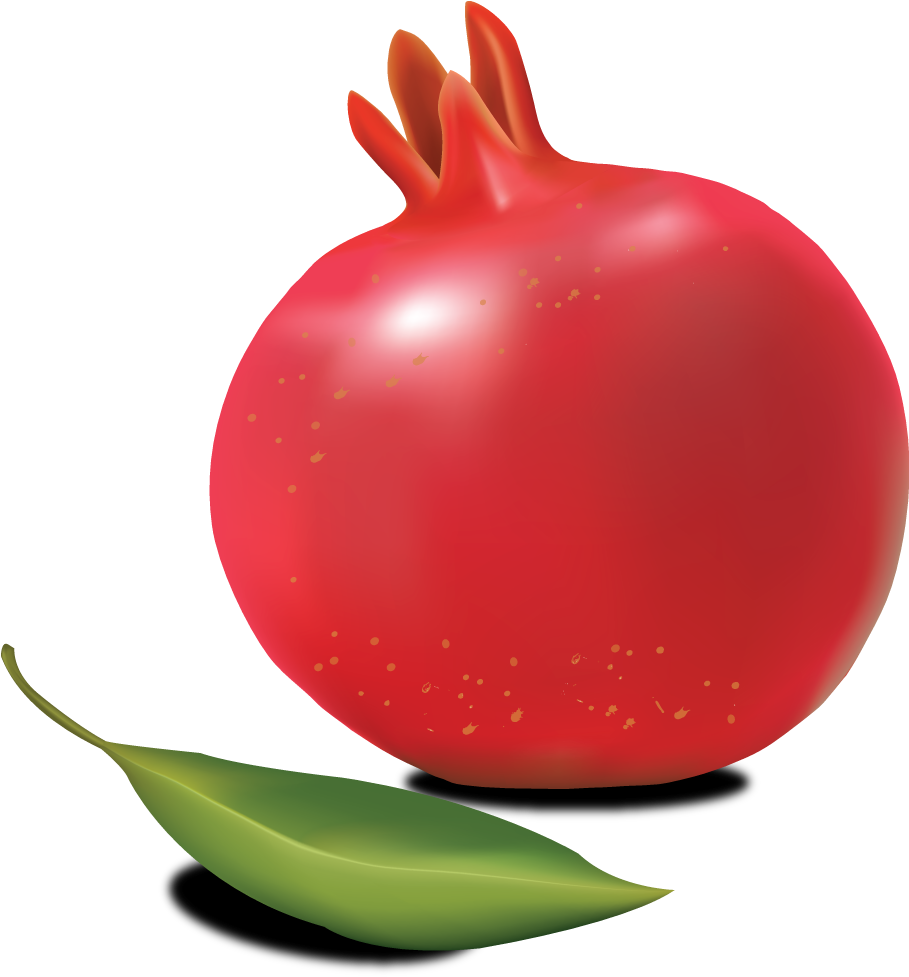 Images Best Free Pomegranate Clipart - Pomegranate Png Vector (908x1113)