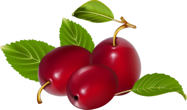 Great Clip Art Of Fruit - Vector (640x377)