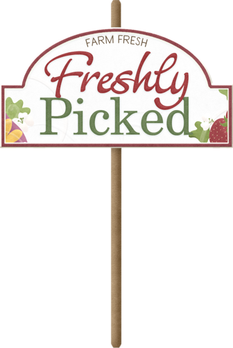 Farm Fresh, Freshly Picked - Southern Italian Family Cooking: Simple, Healthy And (336x500)