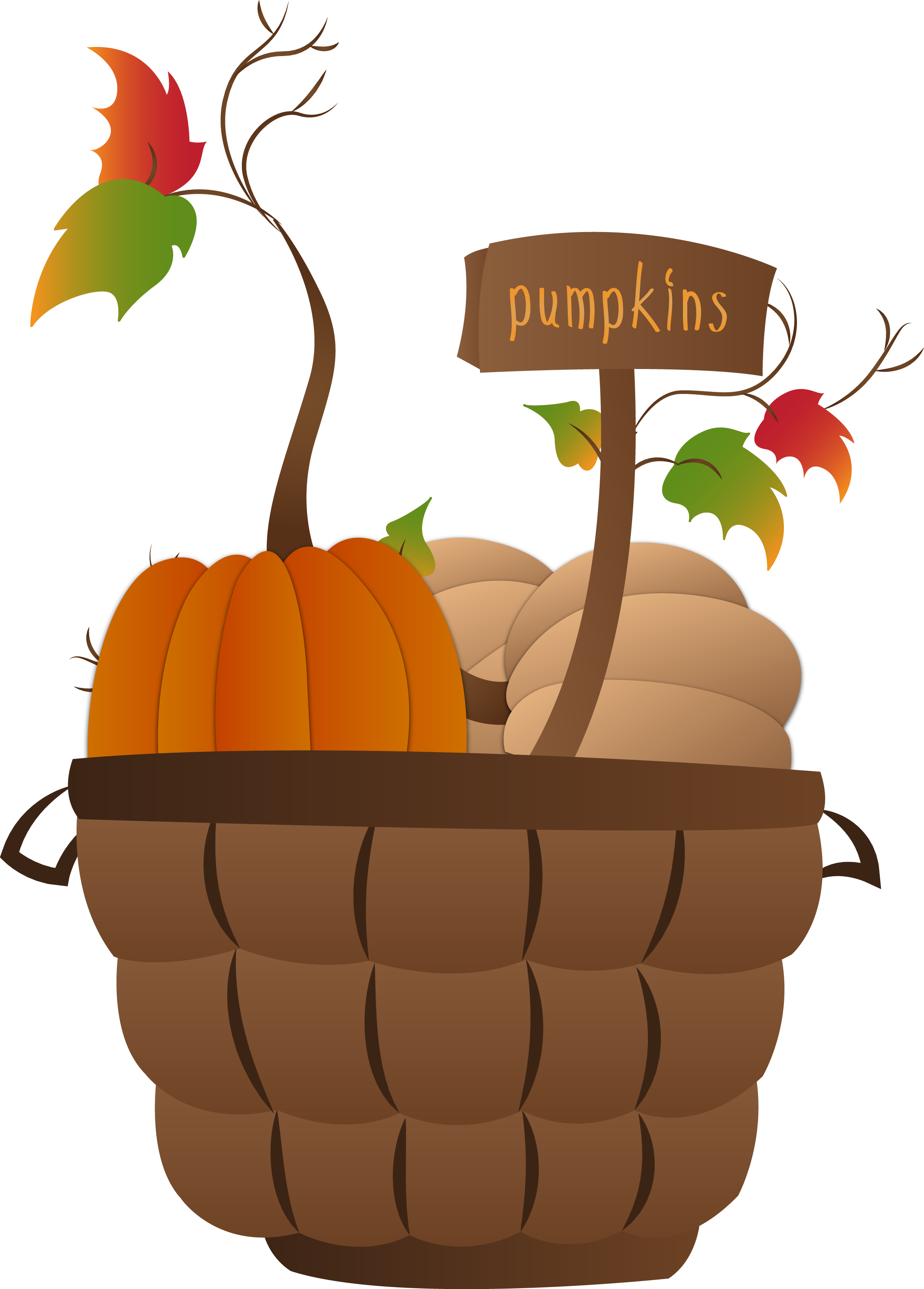 Pumpkin Basket - Pumpkin (2342x3266)