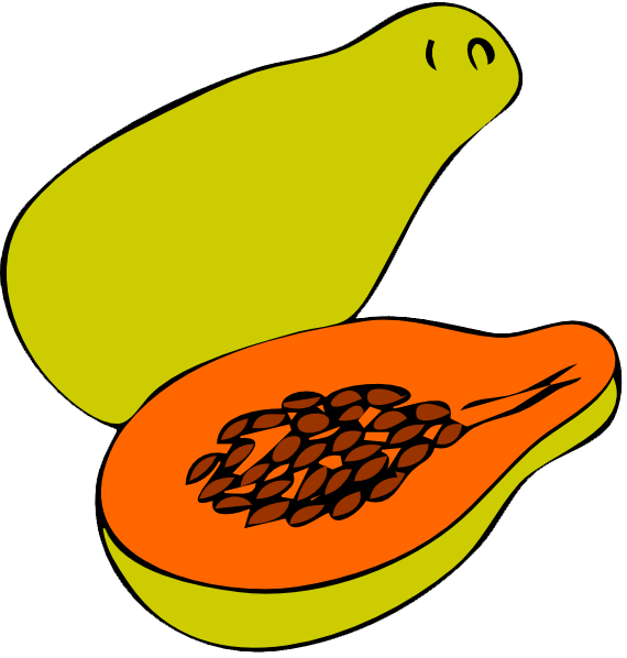 Free To Use & Public Domain Papaya Clip Art - Papaya Clip Art (570x598)