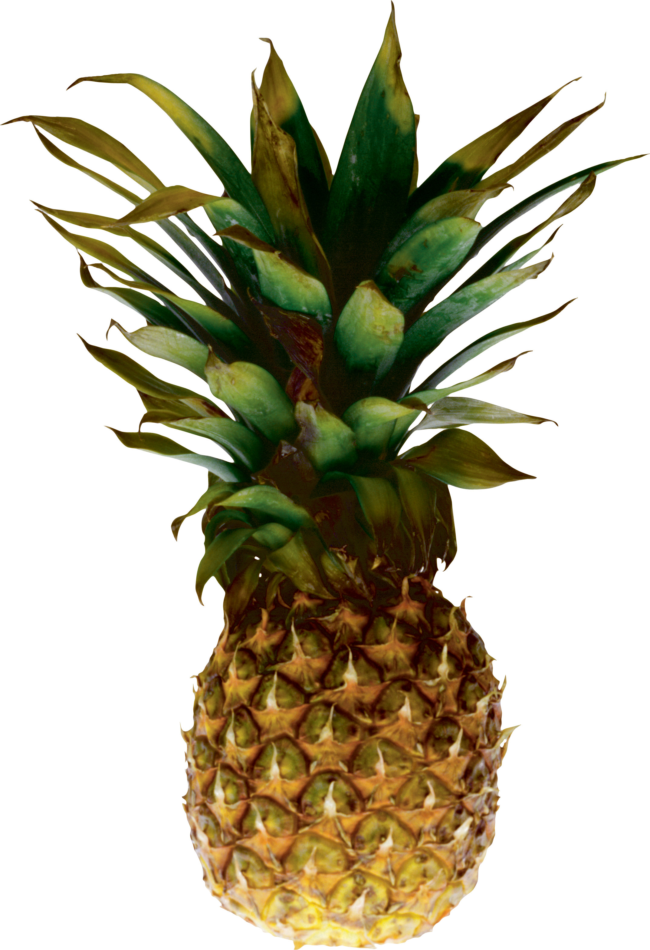 Juice Pineapple Clip Art - Pineapple On Transparent Background (2148x3138)