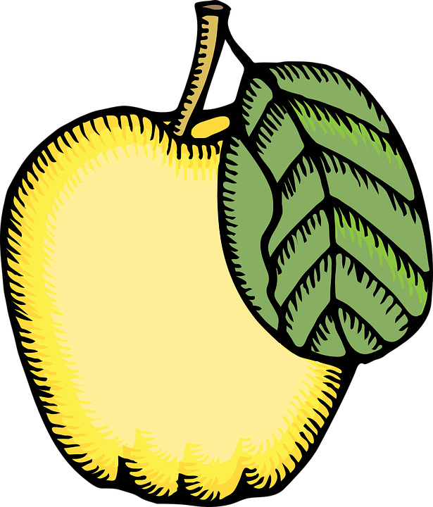 Apple Clip Art Free Vector - Quince Clipart (615x720)