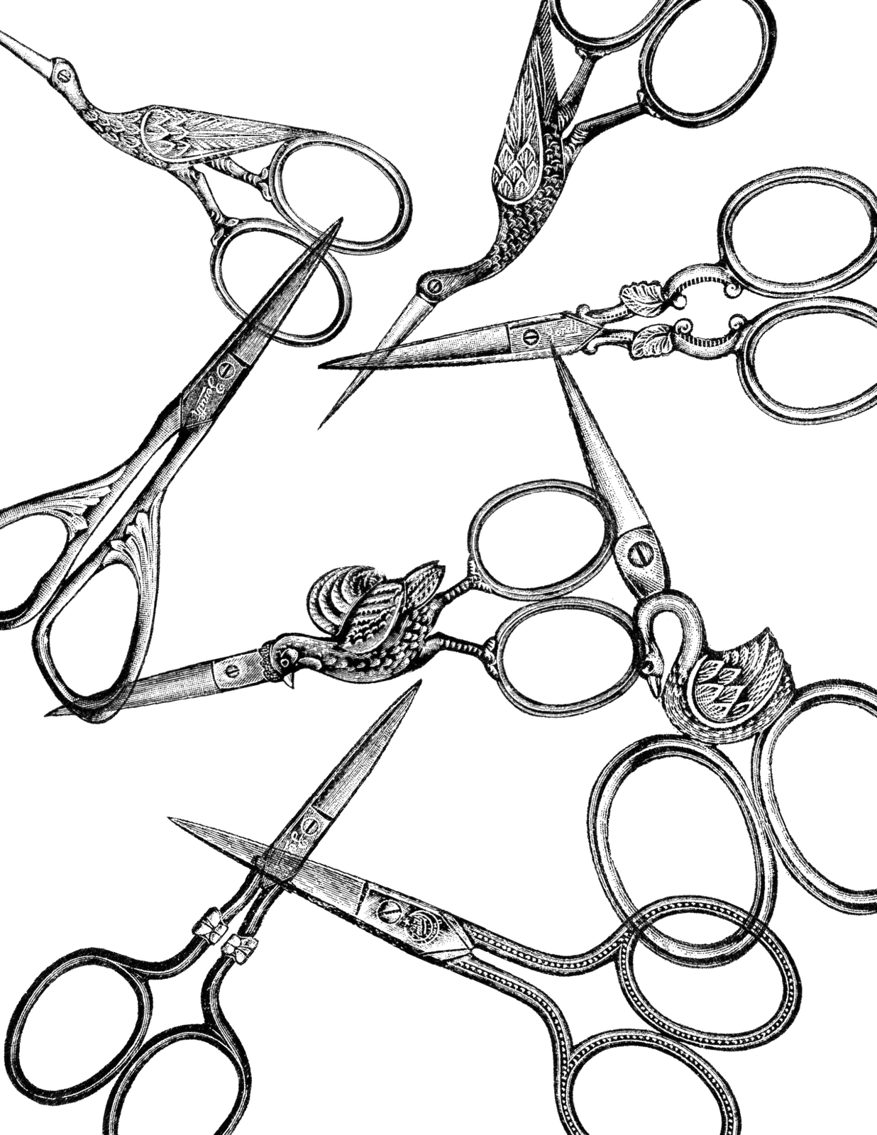 Vintage Scissors Clip Art Png - Transparent Scissors (1236x1600)