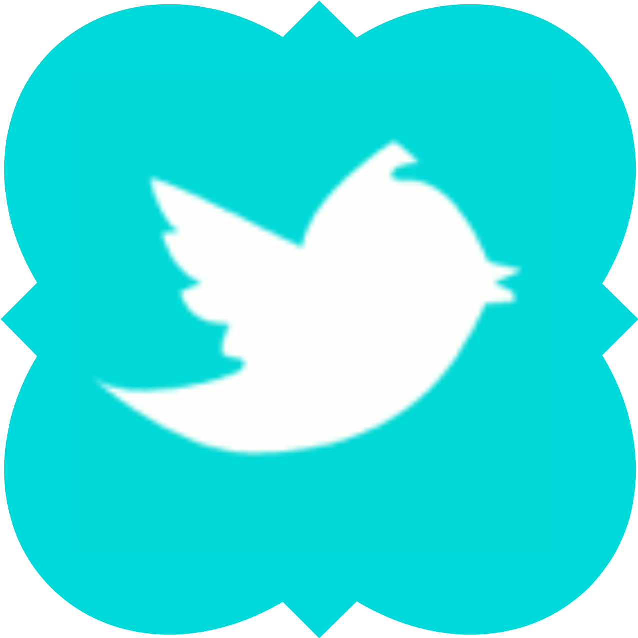 Gluten-free & Vegan » Indie Mama Health - Twitter (1334x1334)