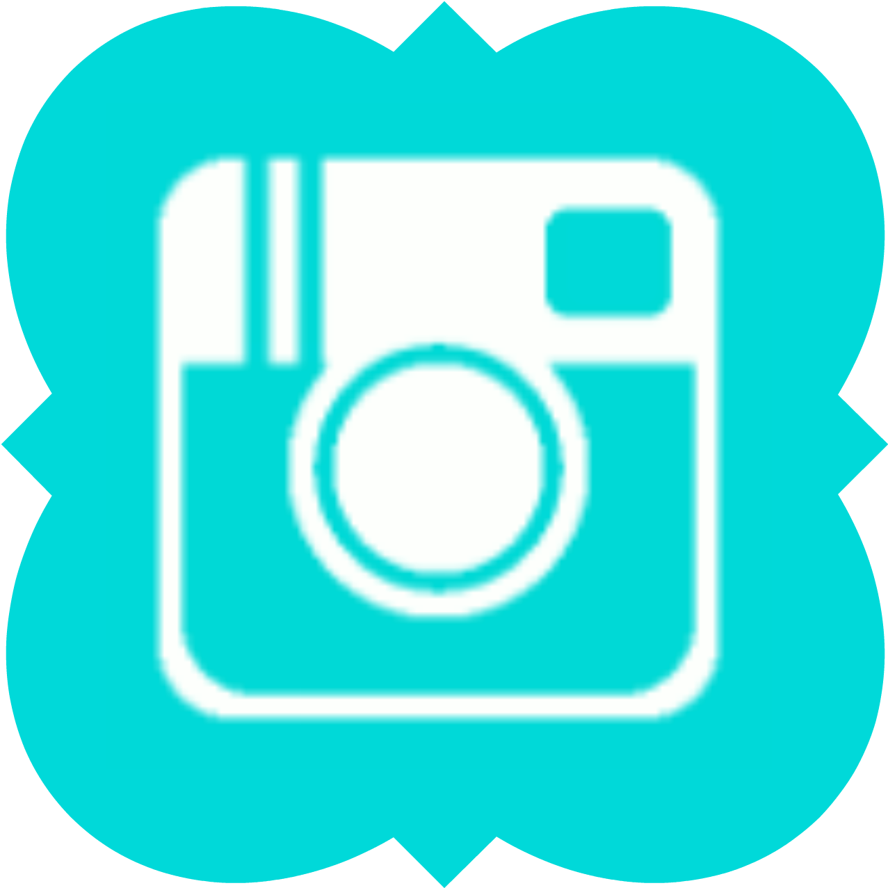 Gluten-free & Vegan » Indie Mama Health - Instagram (1334x1334)