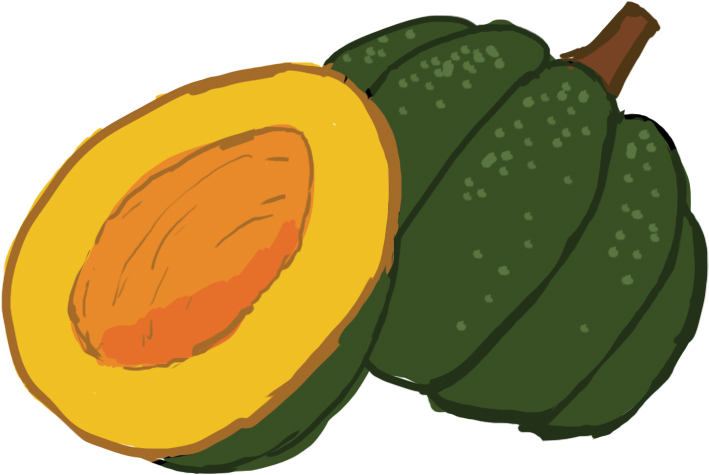 Calabaza Winter Squash Cucurbita Acorn Squash Clip - Calabaza Winter Squash Cucurbita Acorn Squash Clip (760x534)