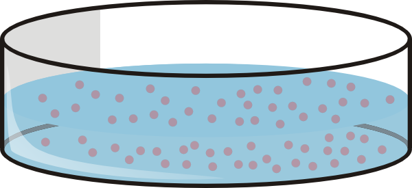 Petri Dish Clip Art (600x275)
