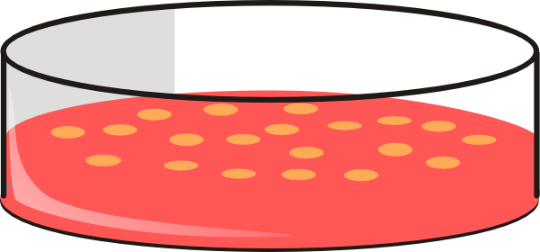 Cho Cell Petri Dish2 Clip Art - Cell Culture Petri Dish (600x280)